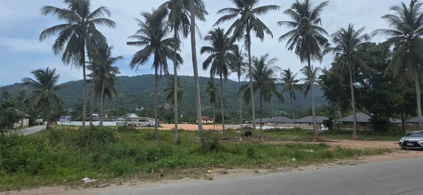 Wild Orchid Villas — view of the site from the road, palm trees and surrounding hills
